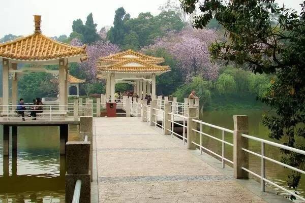 海鮮任吃決戰(zhàn)到天明！泡廣州最大最靚水療會(huì)所！雙早雙晚雙宵夜！