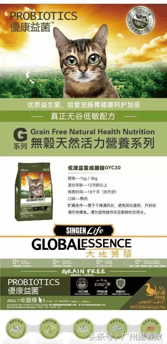 鏟屎官的心靈港灣主子們的SPA天堂！