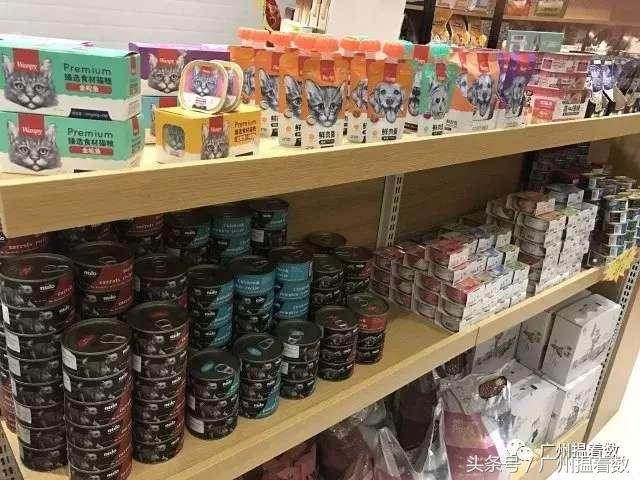 鏟屎官的心靈港灣主子們的SPA天堂！