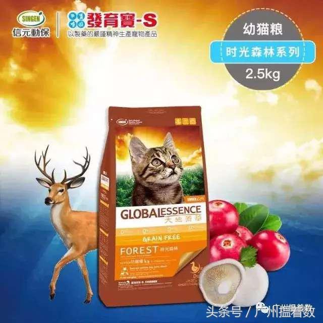鏟屎官的心靈港灣主子們的SPA天堂！