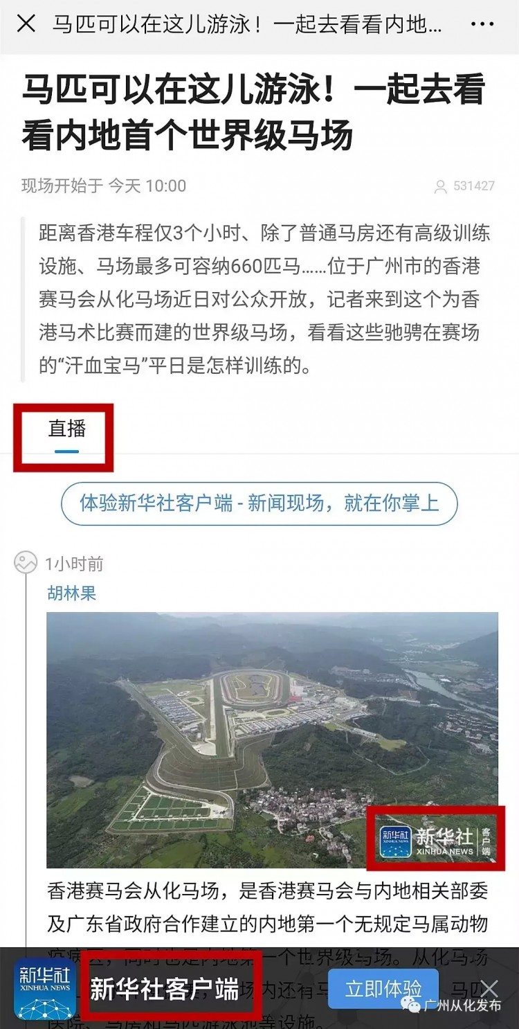 新華社直播內(nèi)地首個(gè)世界級(jí)馬場(chǎng)！汗血寶馬在從化做養(yǎng)生SPA