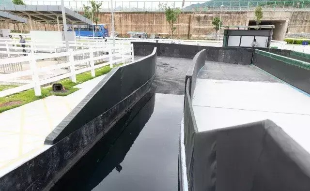 新華社直播內(nèi)地首個(gè)世界級(jí)馬場(chǎng)！汗血寶馬在從化做養(yǎng)生SPA