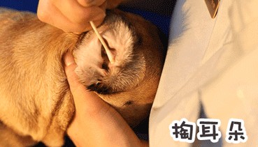 1米以下才能來的店半張毛爺爺做SPA但從不招待人