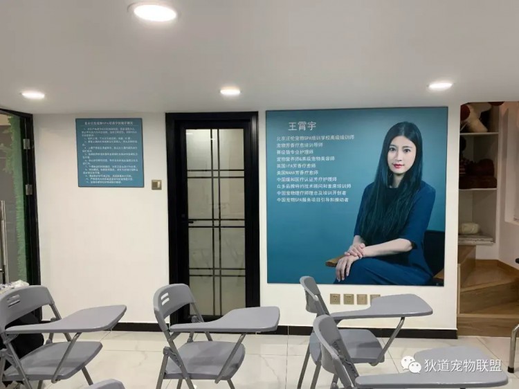 「推薦學?！贡本┩魝悓櫸颯PA培訓學校