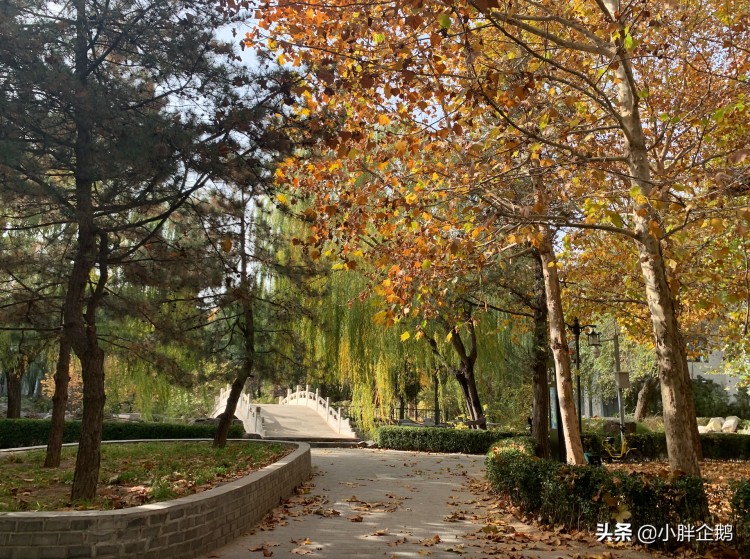 上房揭瓦??周末來一場徹底的放松打卡北京網(wǎng)紅湯泉