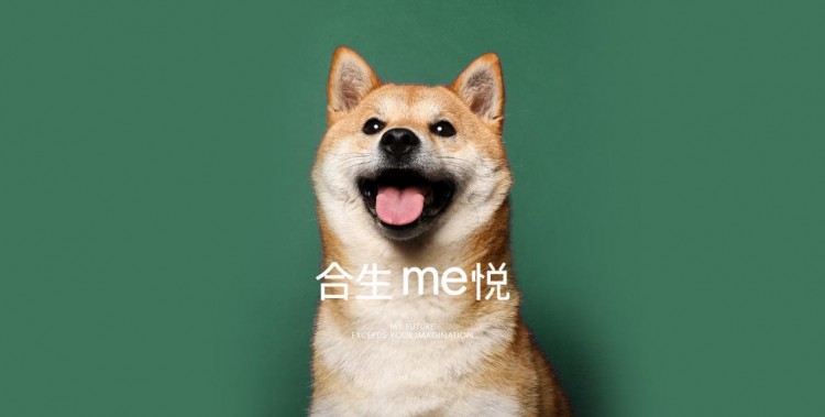 合生me悅給你一份春日萌寵生活指南寵物樂(lè)園+生活SPA館