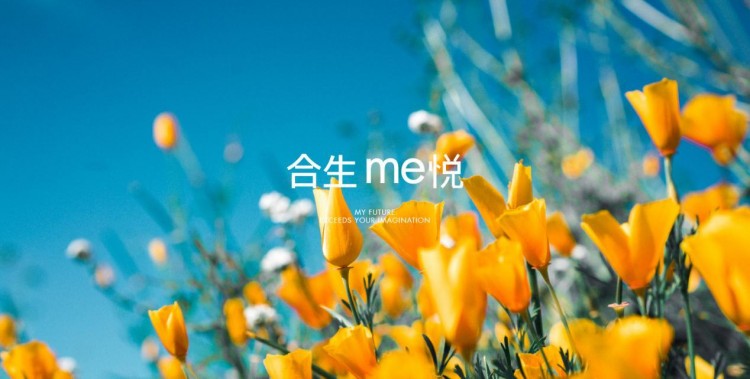 合生me悅給你一份春日萌寵生活指南寵物樂(lè)園+生活SPA館