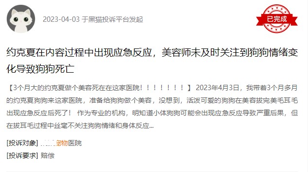 美容項(xiàng)目繁多犬貓SPA最高逾千元寵物美容貴在哪里