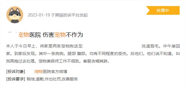 美容項(xiàng)目繁多犬貓SPA最高逾千元寵物美容貴在哪里
