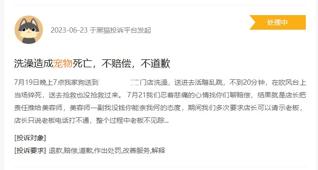 美容項(xiàng)目繁多犬貓SPA最高逾千元寵物美容貴在哪里