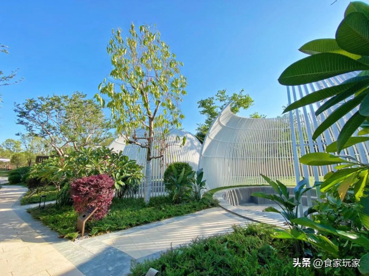 廣州云嶺湖園林式泡池自助早晚泡鳥(niǎo)巢養(yǎng)生湯泉親子戲水池
