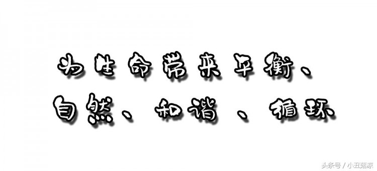 不想熬夜加班只想在這家店做個(gè)佛系養(yǎng)生SPA！