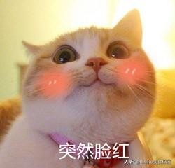 這家SPA店千萬不要去！因?yàn)椤チ诉€想去啊