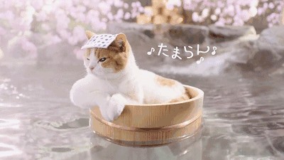 泡湯何須去日本深圳周邊54家真溫泉名單來了