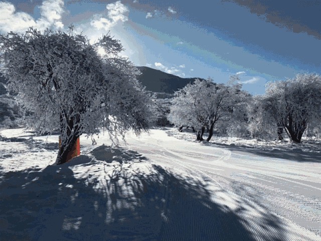 春節(jié)去哪玩成都周邊12大滑雪賞雪泡溫泉圣地推薦