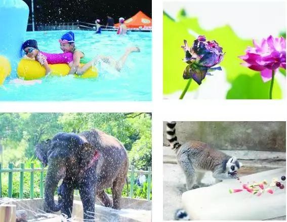 南京2016夏季玩水指南水上樂(lè)園游泳漂流統(tǒng)統(tǒng)都有！