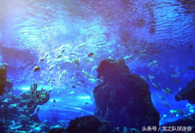 武漢吃喝玩樂攻略娛樂篇