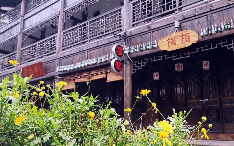 一山一溫泉一池一養(yǎng)生——你知道嗎重慶周末游有一個好去處