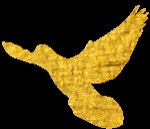 養(yǎng)生迪已經(jīng)out了這才是夜生活的正確姿勢