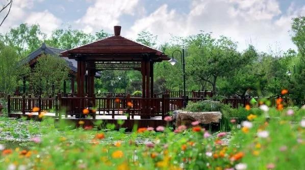 比水上公園大4倍！天津這座最有意境的森林公園如今被人遺忘卻依然美不勝收！
