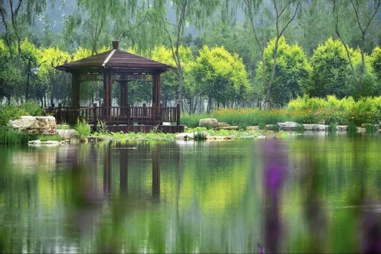 比水上公園大4倍！天津這座最有意境的森林公園如今被人遺忘卻依然美不勝收！