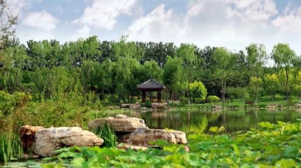比水上公園大4倍！天津這座最有意境的森林公園如今被人遺忘卻依然美不勝收！