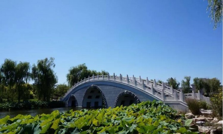 比水上公園大4倍！天津這座最有意境的森林公園如今被人遺忘卻依然美不勝收！