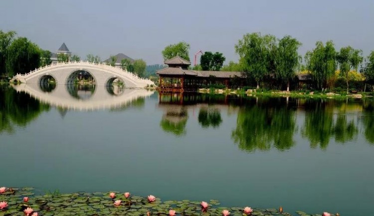 比水上公園大4倍！天津這座最有意境的森林公園如今被人遺忘卻依然美不勝收！