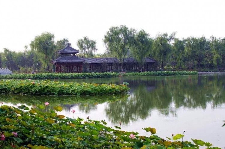 比水上公園大4倍！天津這座最有意境的森林公園如今被人遺忘卻依然美不勝收！