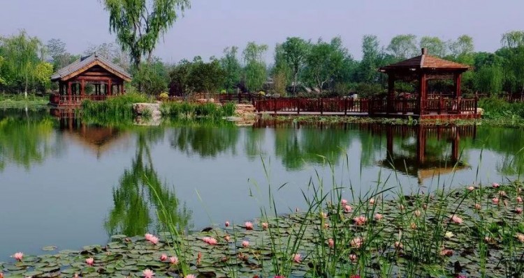 比水上公園大4倍！天津這座最有意境的森林公園如今被人遺忘卻依然美不勝收！
