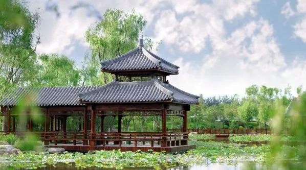 比水上公園大4倍！天津這座最有意境的森林公園如今被人遺忘卻依然美不勝收！