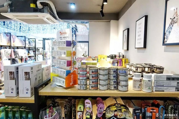 舒服SPA牛奶浴這家寵物生活館讓毛孩子愛上洗澡