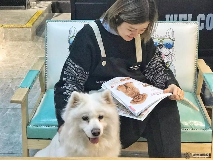舒服SPA牛奶浴這家寵物生活館讓毛孩子愛上洗澡