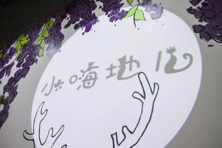 貓の城堡天津驚現(xiàn)擼貓圣地萌到炸！
