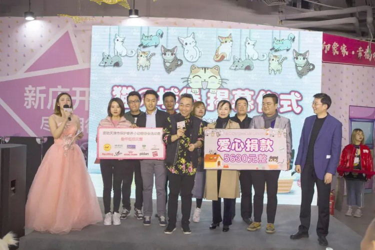 貓の城堡天津驚現(xiàn)擼貓圣地萌到炸！