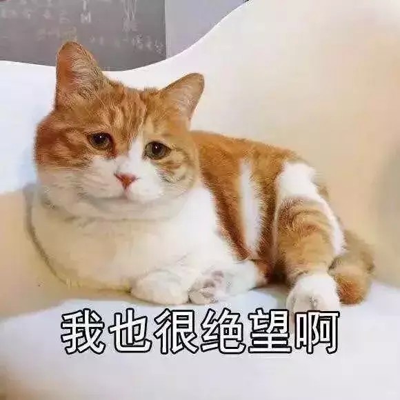 天津河西區(qū)這家店火了！愛美的女生速進(jìn)！