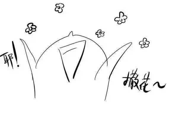 天津河西區(qū)這家店火了！愛美的女生速進(jìn)！