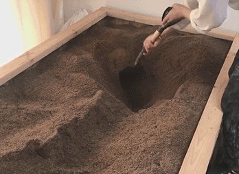 小紅書爆火的