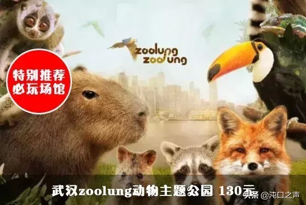 搶武漢親子年票啦看看這一年有哪些景區(qū)可以隨便玩
