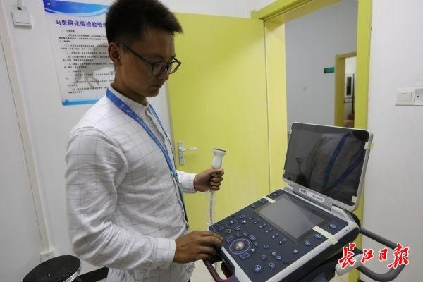 醫(yī)院保姆SPA跑步機(jī)……軍運會馬兒們在武漢享受星級待遇