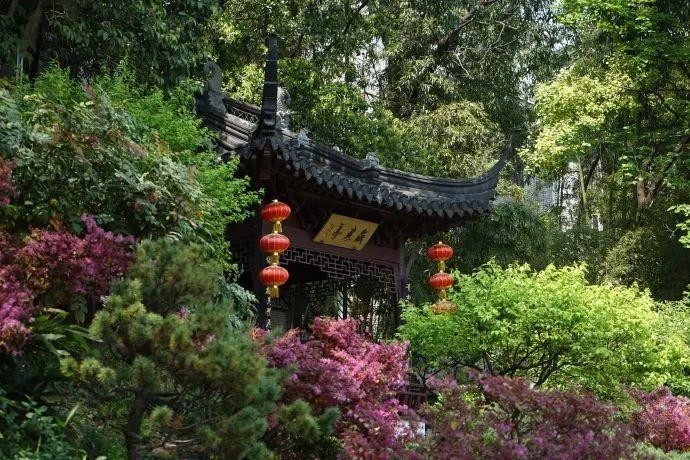 樂享五一·玩轉(zhuǎn)秦淮|還宅在家里來秦淮的園林給身心做個SPA~