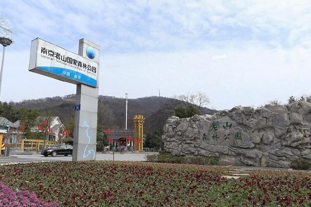 南京十大端午節(jié)旅游景點(diǎn)南京端午節(jié)旅游去哪玩好
