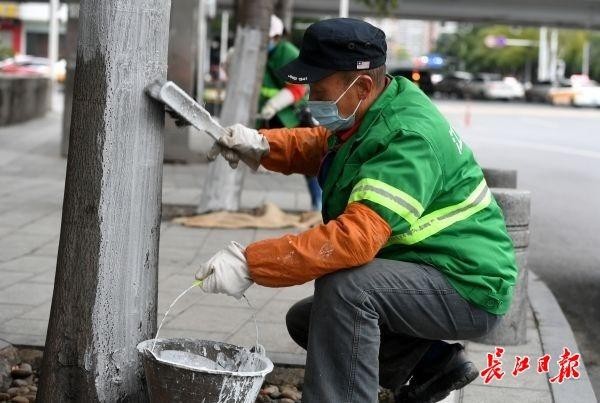 刷白敷膜做SPA武漢精細(xì)呵護(hù)街頭千萬株樹木過冬