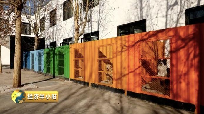 為寵物開酒店電影院美容院……一個超1700億元的大市場爆發(fā)！