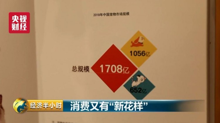為寵物開酒店電影院美容院……一個超1700億元的大市場爆發(fā)！