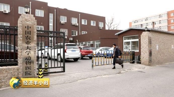 為寵物開酒店電影院美容院……一個超1700億元的大市場爆發(fā)！