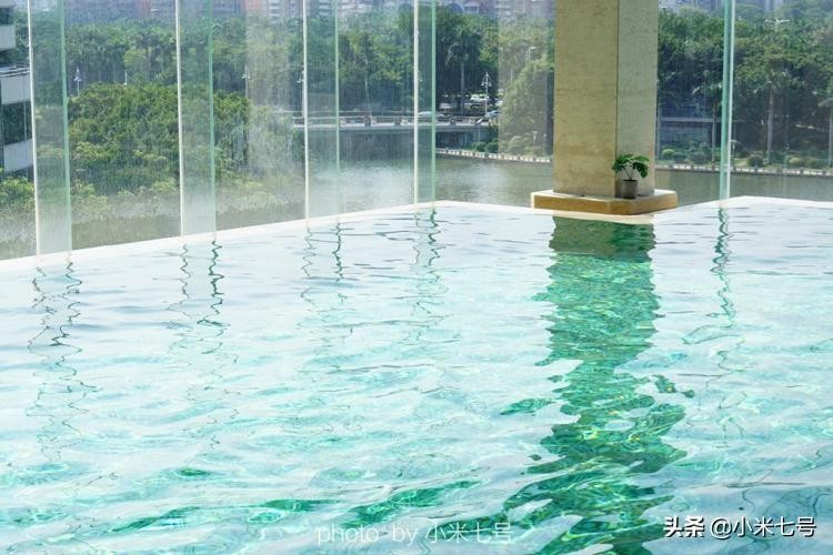 游泳健身日料SPA來金雁酒店過個(gè)健康的周末你也能身輕如雁