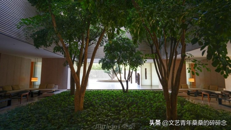 賞絕美日落與廈門七尚來個親密接觸