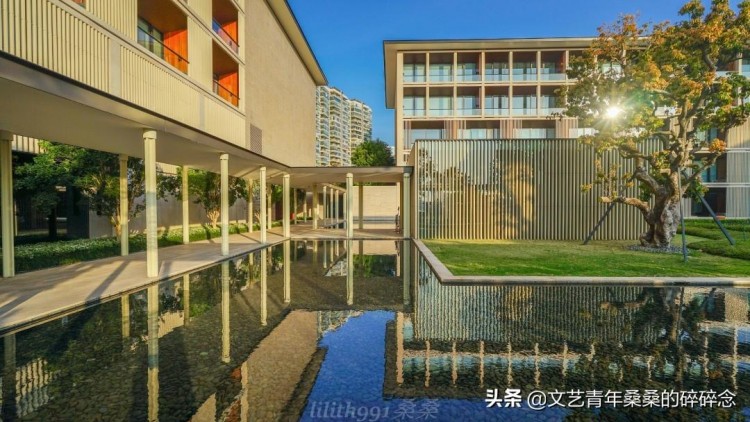 賞絕美日落與廈門七尚來個親密接觸
