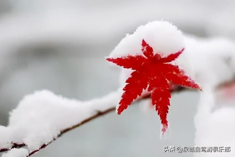大雪至寒冬始推薦幾個(gè)濟(jì)南兩小時(shí)生活圈冬日必去打卡地